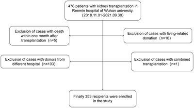 Risk factors for BK virus infection in DCD donor kidney transplant recipients